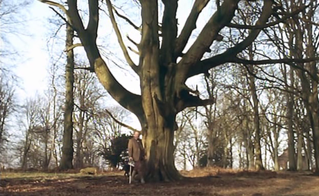 A Sense of History - 1992 A Sense of History - 1992