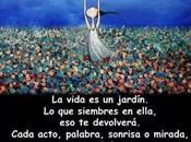 Todo Devuelve