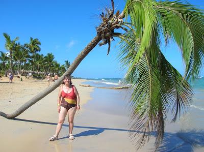 Palmera tirada por el huracán, Punta Cana, vuelta al mundo, round the world, mundoporlibre.com