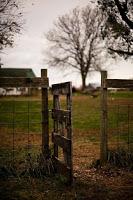 Pon un fantasma en tu vida - Rosa Grau