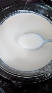 ¿Cómo hacer un yogurt natural?