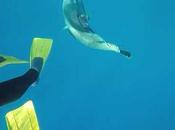 Gran Barrera Coral Australia