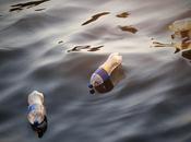 Crean enzima capaz digerir botellas plástico