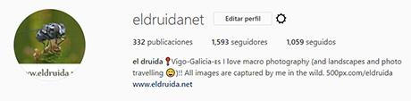 instagram @eldruidanet