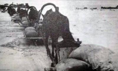 Leningrado: El pan fue la medida de la vida y la muerte