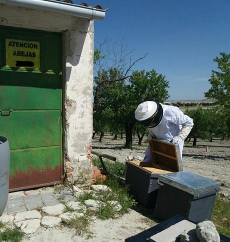 Nuevo ‘aguijonazo’ a la gestión de Ganemos Pinto