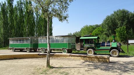 Galachos de Juslibol: excursión con niños en Zaragoza