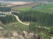 Galachos Juslibol: excursión niños Zaragoza