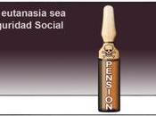 Maestros nacionalfalangistas