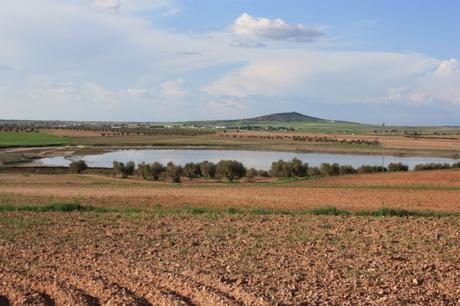 Laguna del Altillo Chica. LILLO Laguna del Altillo Chica. LILLO
