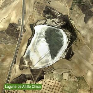 Laguna del Altillo Chica. Lillo.