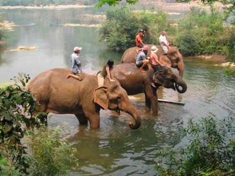 Paseo en Elefantes en Vietnam