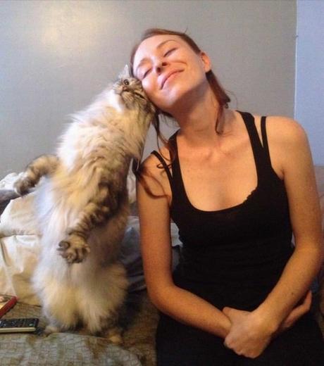 Lo Que Tu Gato Quiere Expresar. Lenguaje No Verbal Felino