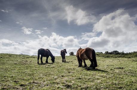 Un paseo por... Senda Costera de La Espasa - Arenal de Moris