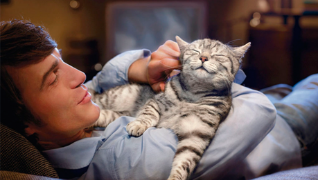 ¿POR QUE LOS GATOS DUERMEN ENCIMA NUESTRO??