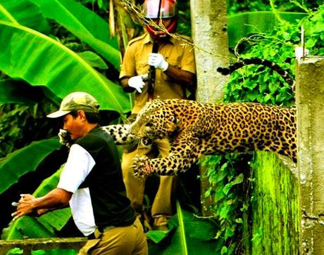 momentos captados 1 segundo antes del desastre - humor - el libro gordo de la vida momentos captados 1 segundo antes del desastre - humor - el libro gordo de la vida