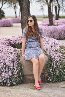 Purple Flowers Purple Flowers