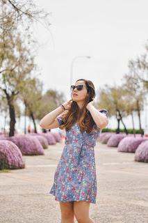 Purple Flowers Purple Flowers