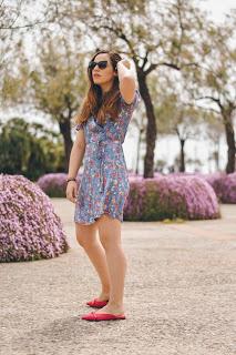 Purple Flowers Purple Flowers