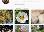 cuenta Instagram