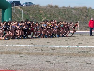 Campionat de Catalunya de Cros. Mollerusa.