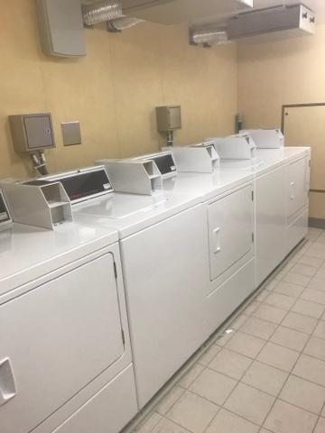 CARNIVAL HORIZON O COMO PROGRESAR ADECUADAMENTE CARNIVAL HORIZON O COMO PROGRESAR ADECUADAMENTE