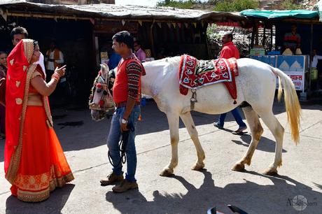 Un caballo para la fiesta de boda en Orchha Fotografia_Viaje_India_Orchha