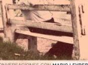 “Conversaciones Mario Levrero” Pablo Silva Olazábal