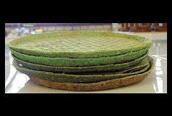 Mexicanas crean platos desechables a base de nopal. - Paperblog
