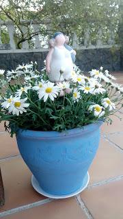 YA LLEGA LA PRIMAVERA AL JARDÍN.... YA LLEGA LA PRIMAVERA AL JARDÍN....