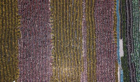 [TRIBUNA DE PRENSA] Lo mejor de la semana. Mayo, 2018 (II)