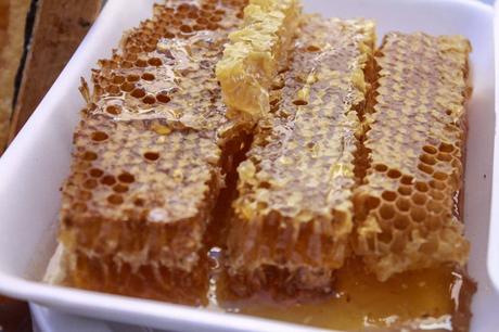 Seleccionan a apicultores zacatecanos para expo