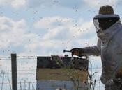 ciudad tendrá laboratorio miel Ruta