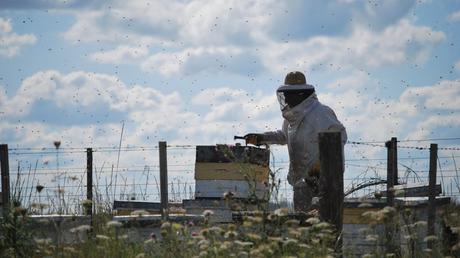 La ciudad tendrá un laboratorio de miel en la Ruta 22 La ciudad tendrá un laboratorio de miel en la Ruta 22