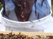 Buscan provincias unan actividad apicultura