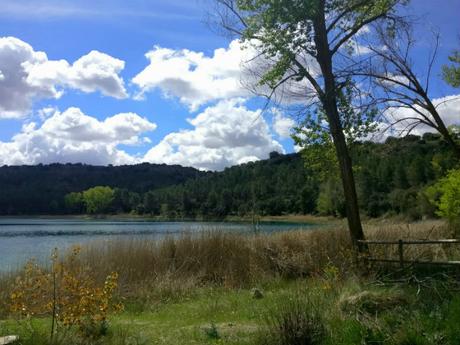 bosque-lagunas-ruidera 