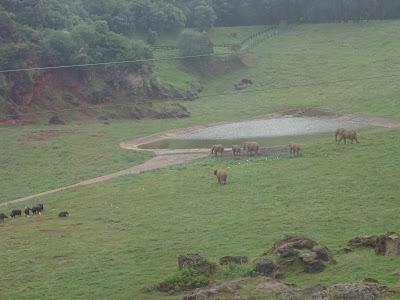 Parque de la Naturaleza de Cabárceno, Santander