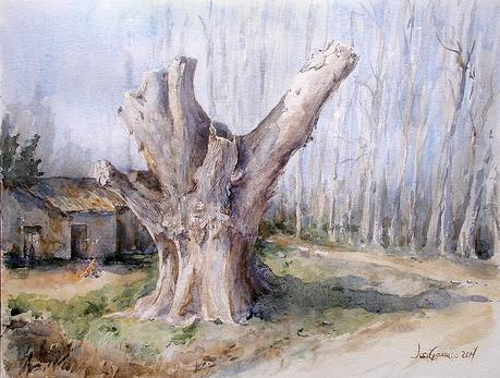 Alpera. El señorío de Verastegui. Alpera. El señorío de Verastegui.