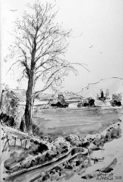 Alpera. El señorío de Verastegui.