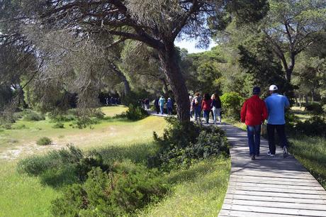 PASEO EN BARCO Y VISITA AL POBLADO DE LA PLANCHA EN DOÑANA