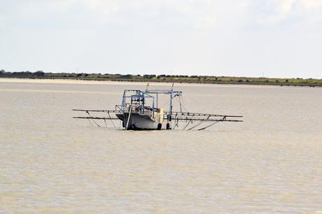 PASEO EN BARCO Y VISITA AL POBLADO DE LA PLANCHA EN DOÑANA