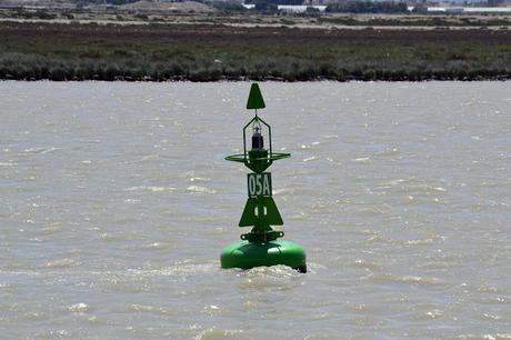 PASEO EN BARCO Y VISITA AL POBLADO DE LA PLANCHA EN DOÑANA