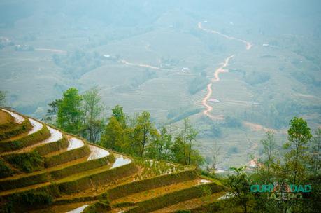 Sapa: entre montañas, arrozales y minorías étnicas