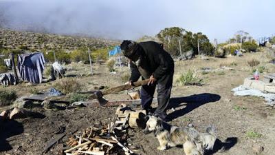 El ermitaño de Collón Cura: crónica de 30 años de soledad
