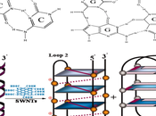 nueva estructura molécula vida: