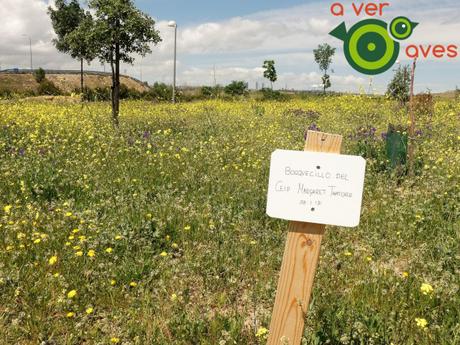 El bosque urbano comunitario de árboles, aves y personas