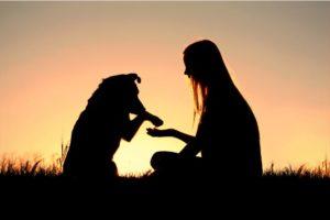 Por qué tener un perro o un gato tiene un profundo significado espiritual who