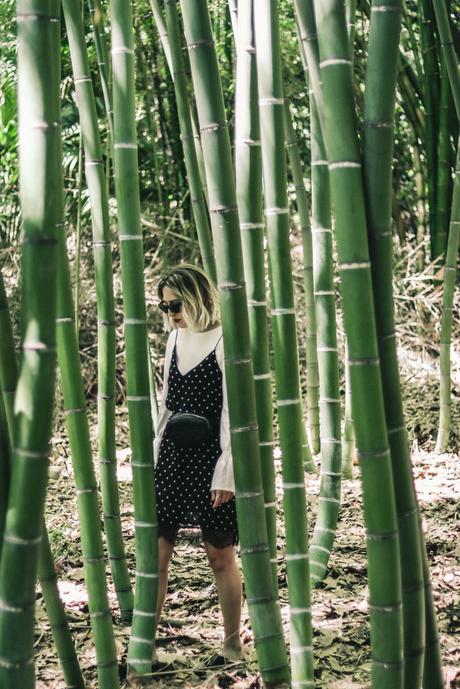 DOTS DRESS BEHIND BAMBOO