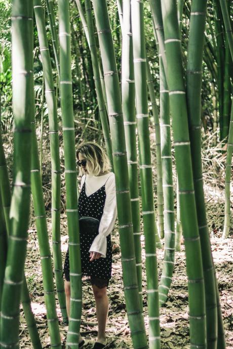 DOTS DRESS BEHIND BAMBOO