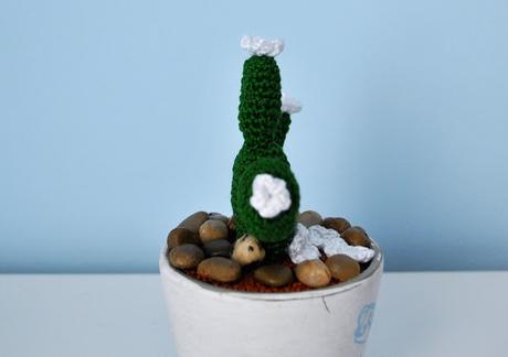 OTRO CACTUS DE GANCHILLO